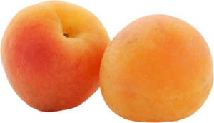 Apricot PNG-12660